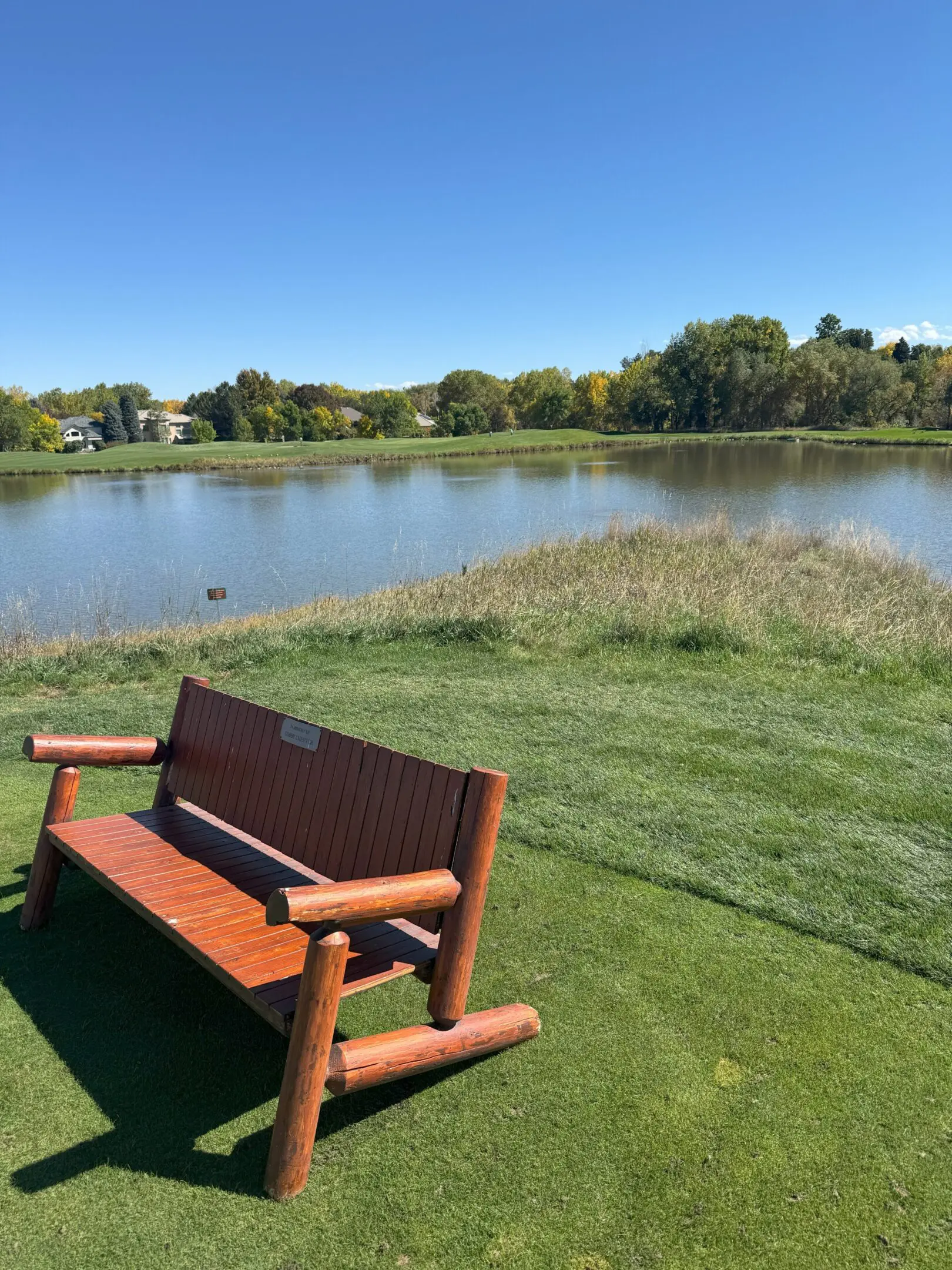 68e43fd84ddb2_IMG_8806